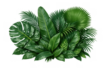 Tropical green foliage arrangement with monstera, palm fronds, banana leaf, and other exotic plants, transparent background