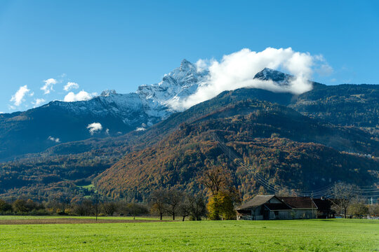 Bex plain green fields with Grand Muveran snowy mountain peak background at the end of October. Bex, Canton of Vaud, Switzerland.