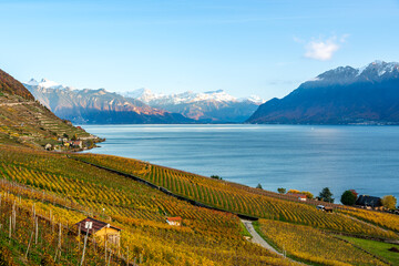 Lavaux vineyard terraces golden autumn landscape with Lake Geneva. Bourg-en-Lavaux, Canton of Vaud, Switzerland.