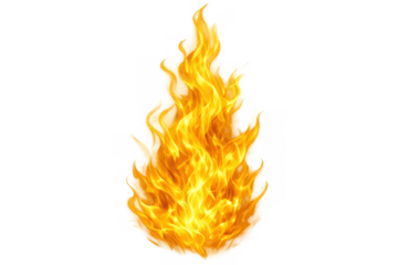 Fire burning with orange and yellow flames, hot blaze and heat spreading, energy and glow on transparent background
