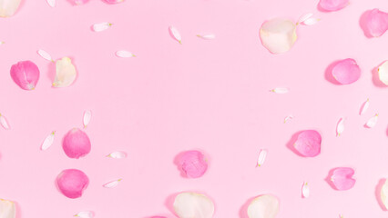 Pink and white natural petals of rose and chamomile flowers on a pastel pink background. Floral flat greeting card.