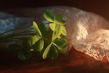 irish heritage display, tranquil heritage-themed still life featuring a shamrock sprig, delicate irish lace, a subtle flag ribbon, warm lighting, and ample space for text