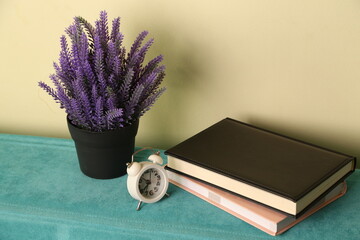 Decorative plant and books on a sofa with alarm clock showing time in a simple indoor setting