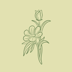 Hand drawn botanical lily bloom flower line art vector illustration. Floral sketch for luxury packaging, wall art, feminine tattoo design, wedding invitations, skincare branding, organic beauty logo