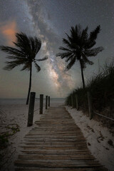 Beach path surrounded by Palm trees leading towards the Milky Way Galaxy in Key West Florida 