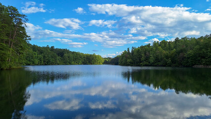 Fototapeta premium Cloud reflections over calm forest lake under blue sky