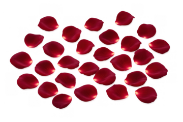 Red rose petals scattered, symbolizing love, romance, and valentine's day on a transparent background