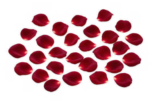 Red rose petals scattered, symbolizing love, romance, and valentine's day on a transparent background - Powered by Adobe