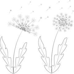 The silhouette of a fluffy dandelion flower.