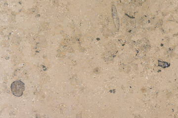 Beige limestone texture showing sedimentary rock fossils © de-nue-pic