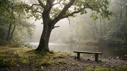 Misty riverside forest with bench and large tree