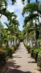Obraz premium path in tropical garden