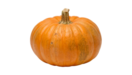 A single, ripe orange pumpkin isolated, perfect for autumn harvest celebrations