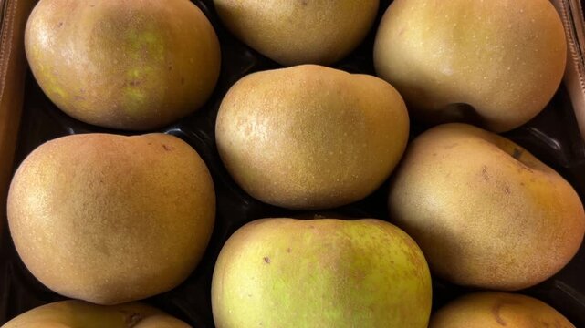 Rennet apples neatly arranged in a cardboard box, tracking shot on gray apple