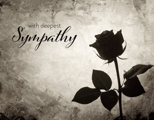 Sympathy card with rose silhouette on grunge background