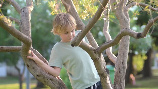 A cute blonde white teenage boy is having fun on a tree in a sunny garden. A child climbs a wood in a summer park.