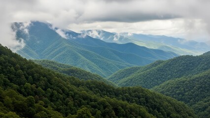 Naklejka premium A serene mountain range covered in lush greenery under a cloudy sky viewed from a distance