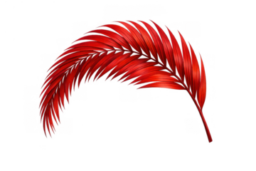 Red tropical palm leaf vector art illustration depicting exotic foliage for summer design with transparent background