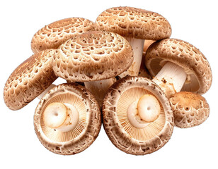 Close-up of a pile of textured, brown mushrooms with white gills, isolated on black