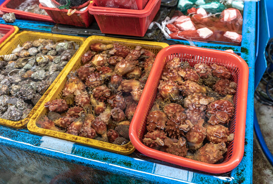 Busan, South Korea - December 30, 2025: Fresh Sea Snails and Sea Squirts in Colorful Bins at Jagalchi Fish Market in Busan, South Korea