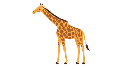 Obraz premium Giraffe Standing Alone with Spotted Fur.