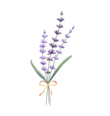 Obraz premium Bouquet of purple lavender flowers, watercolour illustration, isolated on a transparent background, for printing, wedding and invitations