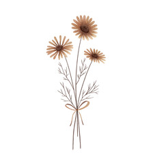 Obraz premium Watercolor Chamomiles illustration, Daisies illustration, vintage wildflowers, isolated on a transparent background