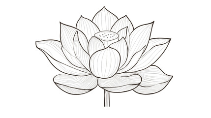 Fototapeta premium Simple Black and White Lotus Flower Illustration.