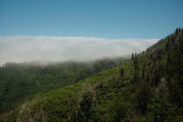Green mountain landscape with trees and low clouds