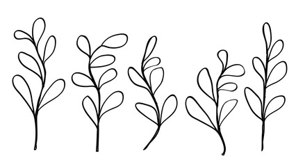 Minimalist Line Drawing of Abstract Plant Stems Bundle