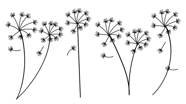 Dandelion Flowers Set Botanical Hand Drawn Collection.Vector Illustration