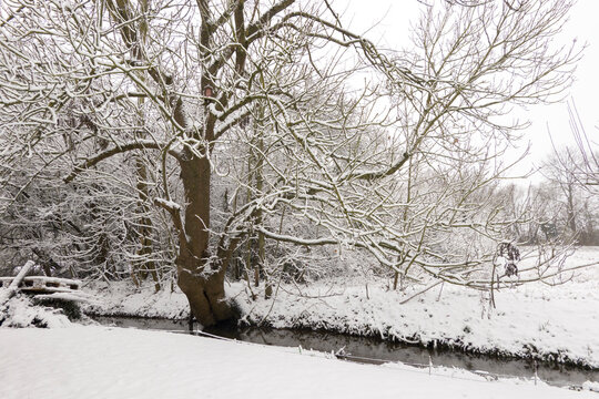 kleiner Bach im Winter