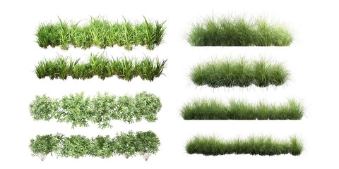 High-resolution set of various green grasses and bushes isolated on white background. Suitable for landscape design, horticulture, and nature-related projects.