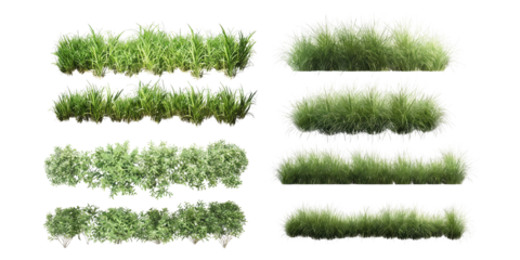 High-resolution set of various green grasses and bushes isolated on white background. Suitable for landscape design, horticulture, and nature-related projects.