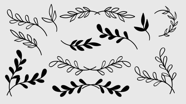 Leaves Divider Line Art and Silhouette Bundle Botanical Hand Drawn Set.Vector Illustration