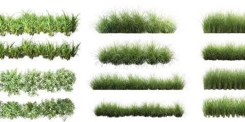 High-resolution image of various green grass and foliage plants, showcasing different textures and arrangements for landscaping or nature-themed projects.