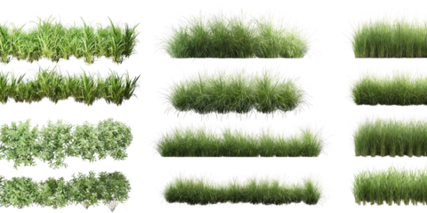 High-resolution image of various green grass and foliage plants, showcasing different textures and arrangements for landscaping or nature-themed projects.