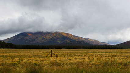 Fototapeta premium Kendrick Peak adorned for Autumn