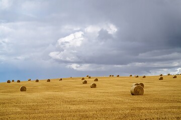 Scotish fields and farms, Southeast Scotland, UK