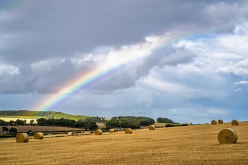 Fototapeta premium Rainbow over Scotish fields and farms, Southeast Scotland, UK