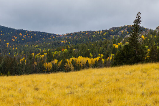 Autumn on the East Baldy Trail