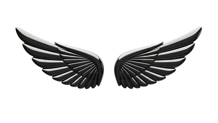 Glossy Black Wings on White Background