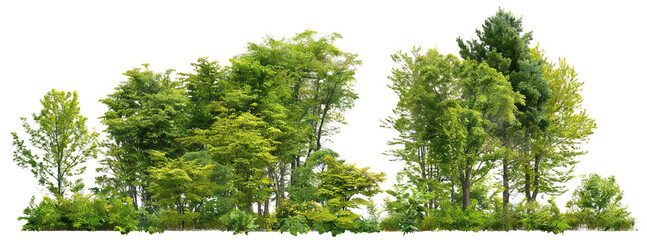 A cluster of lush green trees and bushes, forming a dense natural foliage arrangement. Represents nature, greenery, and outdoor landscape elements in a serene, eco-friendly setting.