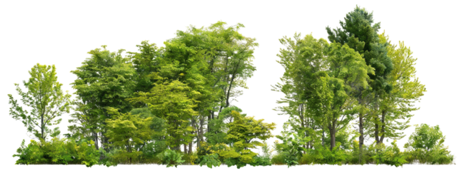 A cluster of lush green trees and bushes, forming a dense natural foliage arrangement. Represents nature, greenery, and outdoor landscape elements in a serene, eco-friendly setting.