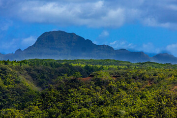2025 07 10 Wailua Heritage Trail - Kauai 010