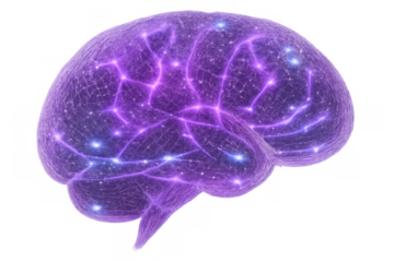 Human brain with glowing neural network, artificial intelligence, thinking process, innovation, and digital learning on transparent background