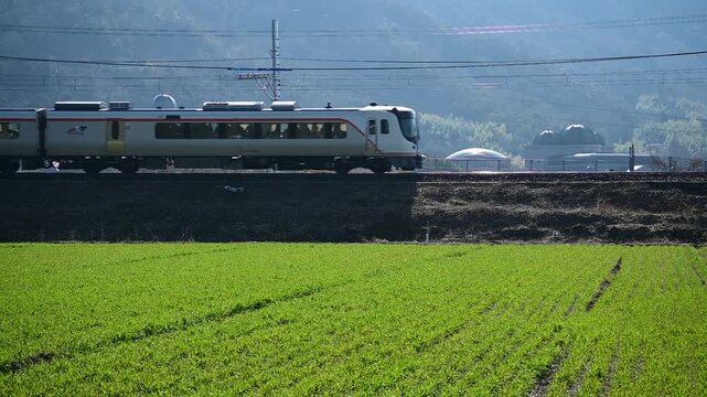 春の安土を走るHC85系特急ひだ （東海道本線 安土 - 能登川, 2025年3月）