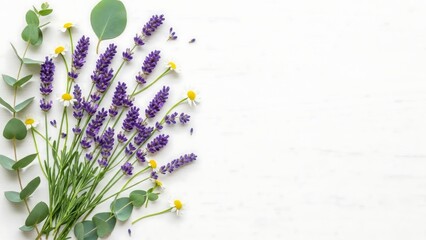 Lavender flowers and green leaves arrangement.