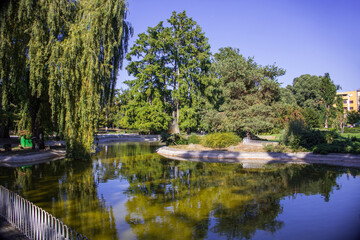 Obraz premium Danube Park, Novi Sad