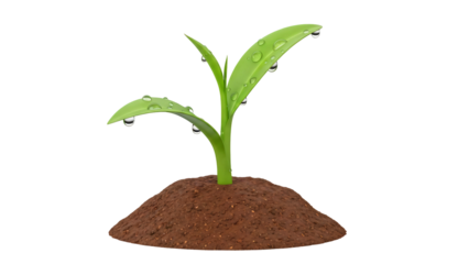 Tiny green seedling emerging from soil with dew drops, transparency PNG for growth concepts